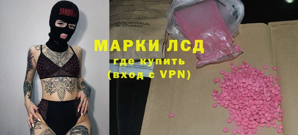 шишки Абаза