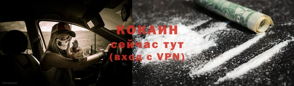 шишки Абаза