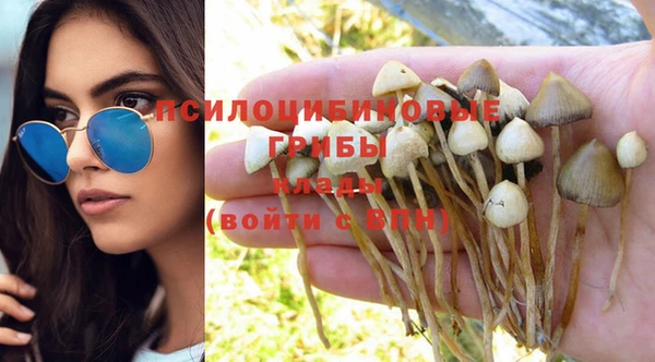 прущая мука Абдулино