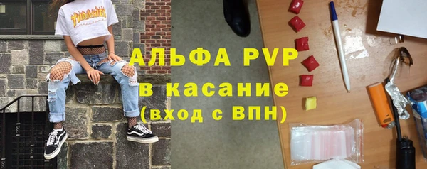 шишки Абаза