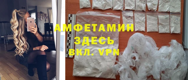 шишки Абаза